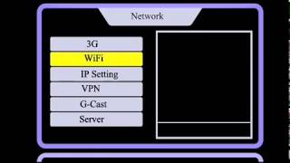 How to Change DNS in MediaStar screenshot 4