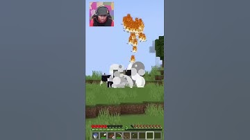 Magical Powers of Herobrine 🥳(alternate ending)…#shorts #minecraft