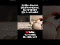 仕事で嫌なことがあった日に阪神タイガースにサヨナラ負け
