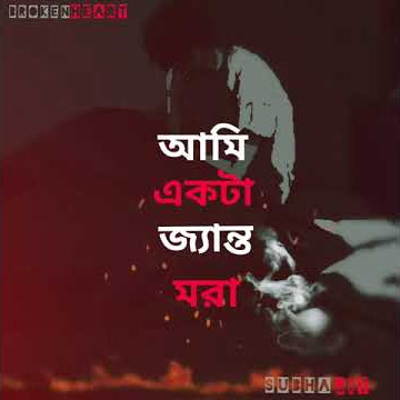 Akashe onek tarar vire whatsapp status #kolijata pora #new bengoli sed song #sed status
