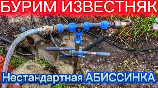 видео: АБИССИНКА НА ДЕГРАДИРОВАННОМ ИЗВЕСТНЯКЕ. БУРИМ ВРУЧНУЮ С ТРУДНОСТЯМИ картинка: АБИССИНКА НА ДЕГРАДИРОВАННОМ ИЗВЕСТНЯКЕ. БУРИМ ВРУЧНУЮ С ТРУДНОСТЯМИ