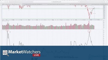 MWL: Identifying Tops and Bottoms - SCTR Report (01.15.19)