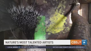 EXPLORING THE CALDWELL ZOO Meet nature s most talented artists