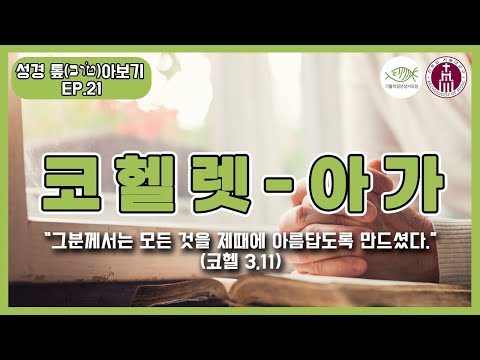 영상썸네일