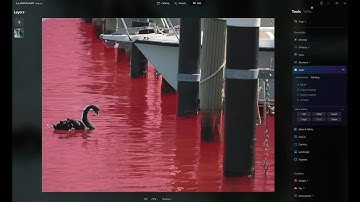 Luminar Neo Update 1.0.6