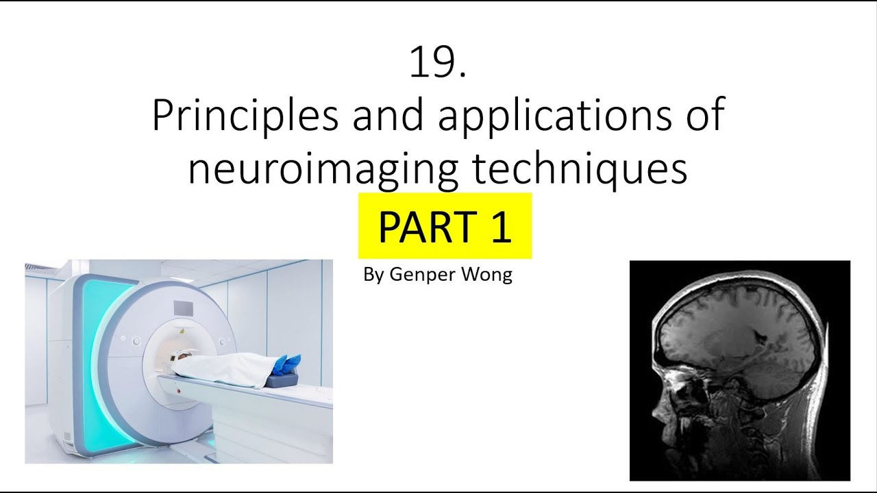 HKBB101 | 19 PART 1 | Principles and applications of neuroimaging ...