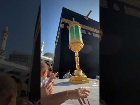 ماشاءاللہسبحان الله            عمر حیات