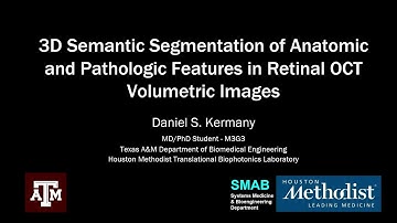 Technical Talk: 3D Semantic Segmentation of Anatomic and Pathologic Features in Retinal OCT Volumes