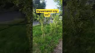 Dywersanci czy co? #autostop #travel #travelvlog #ukraine #viral #vlog #warzone