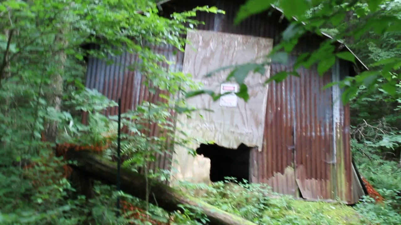 Black Snake Mountain Allegany State Park