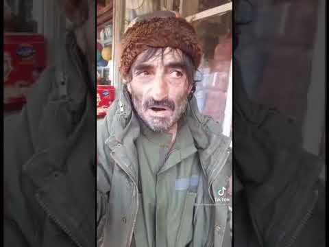 میر آقا سالنگی Shorts