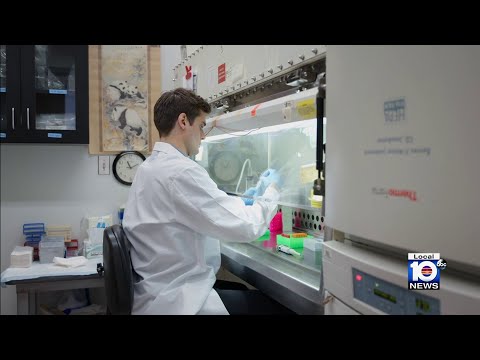 Study: New gene-editing