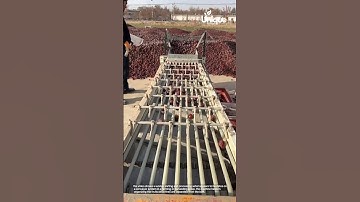 Process of fruits are separated from the bulk