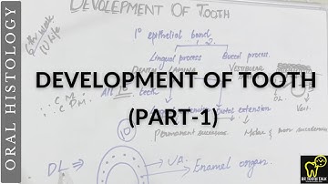 Development of Tooth - Part-1    #dentalanatomy #oralhistory #toothdevelopment