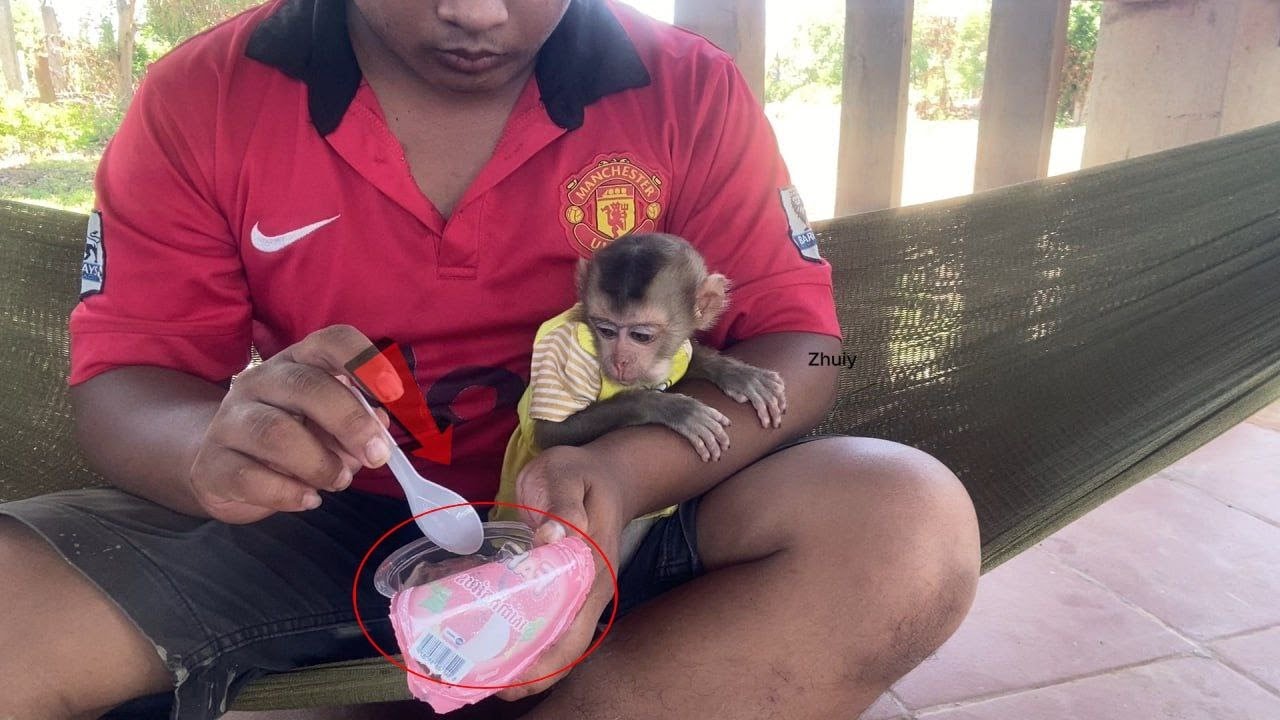 Zhuly Mnkey happy after eating her favorite jelly