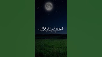 [سورة الزمر – الآية 53] القارئ ياسر الدوسري