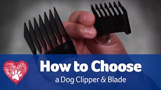 How To Choose The Right Clipper & Blade for Your Dog