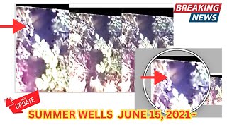 “Is There a Child in the Trees Analyzing the Water Hole Image in the Summer Wells Case”