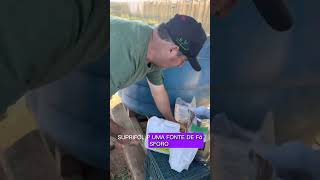 Solucao Nutritiva de Macro e Micro Nutrientes para Fertirrigacao em Estufas