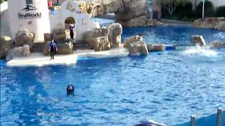 San Diego Sea World DSCF3535.AVI