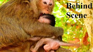 Diasy Family-Final Clip, Diasy Fighting Dito So Serious | So Pitiful Adorable Just Need Sweat Milk!