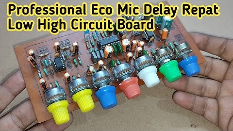 Professional Echo Mic Delay Repat Low High Circuit Board