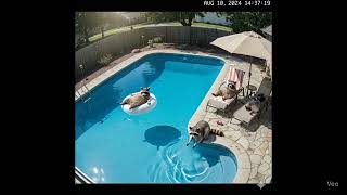 Security Cam Catches Rac Pool Party Theyre Just Vibing
