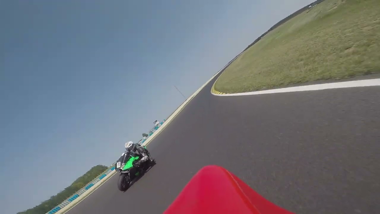 Gracz Przepiórek na kawie:)