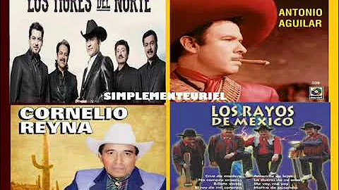 Los Tigres, Antonio, Cornelio, Los Rayos Vol. 2 - ...