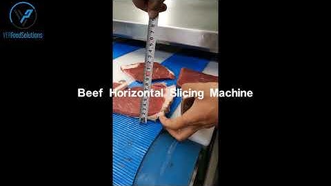 VER Beef Horizontal Slicing Machine