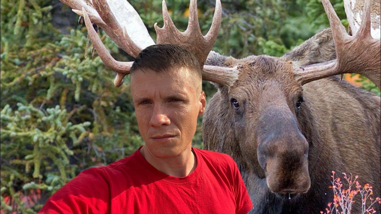 Худшая Рыбалка и Дикий вой Лося в Гон.Мещёрский Лес! - YouTube