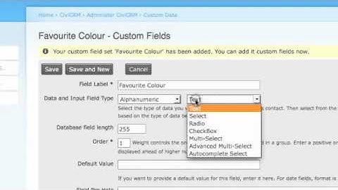 Create Custom Field Sets