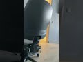 #funny #cat #science