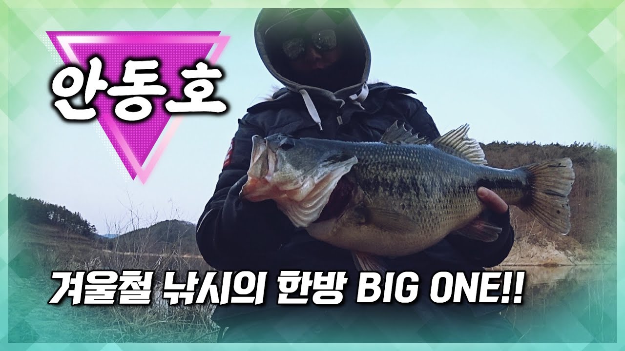 안동호 / 배스낚시 / 물돼지 배스 출현!!😘 - Bass Fishing