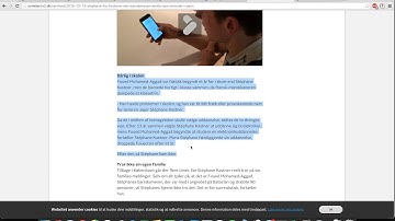 MM ISIS and the Lonely Young American