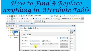 How to Replace anything in Attribute Table in ArcGIS