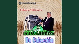 Video thumbnail of "Selva Negra - Caballo Loco"