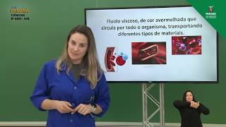 8º Ano | Ciências | Aula 41 - Sangue e seus Componentes