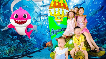 Changcady dẫn khối nghỉ hè đi thủy cung, gặp bạch tuộc, cá mập khổng lồ - Cam Cam TV