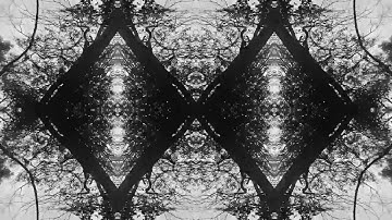 Symmetrical Behaviour - Colvolution Neural Network (Original Mix)