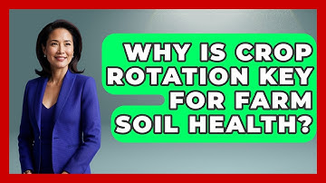 Why Is Crop Rotation Key For Farm Soil Health? - Farm Wealth Network