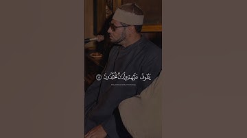 يطوف عليهم ولدان مخلدون | محمد عمران مقام النهاوند_الكرد_حجاز والصبا | سورة الواقعة