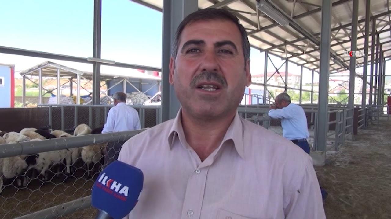 Bingöl'de yeni hayvan pazarında kurbanlık satışları başladı