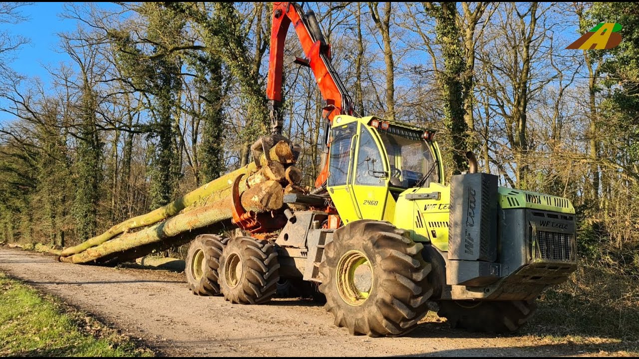 Grasernte 2024 häckseln \u0026 silieren - Traktoren fahren Gülle , grubbern, pflügen - Landwirtschaft