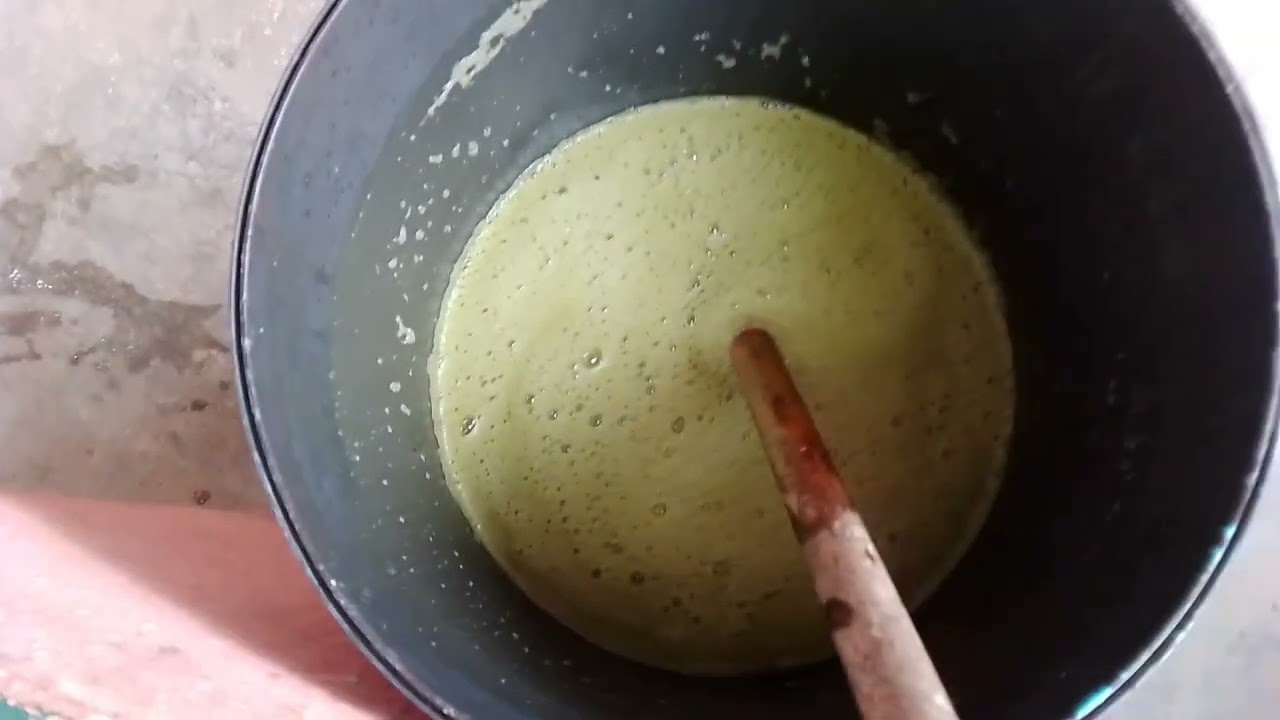 Como fazer sabão de folha de mamão muito bom perfeito