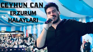 Ceyhun Can - Erzurum Halaylari