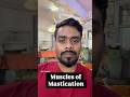 Muscles of Mastication | Functions & Localization Made Easy | NEET PG INI-CET FMGE |
