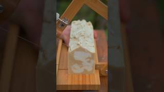 How Ancient Chinese Herbalists Made Polygonum Multiflorum Shampoo Bars