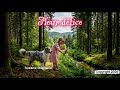 "Ma fleur délice - Par fontaine Stéphanie"