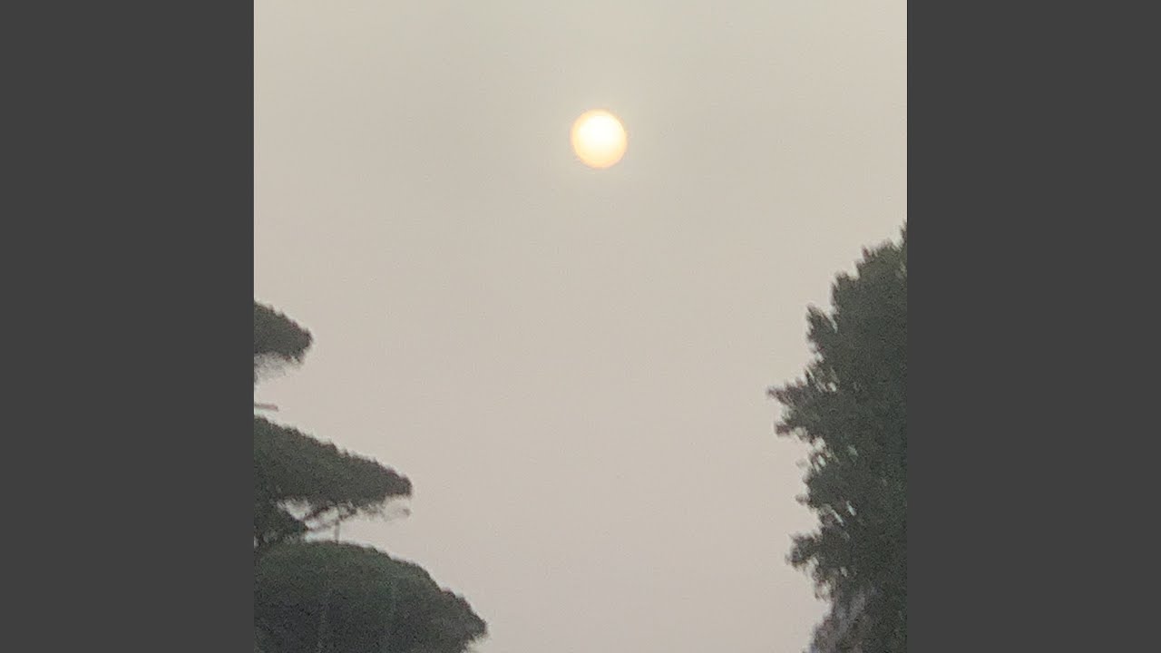 Guarda boredom su YouTube Guarda boredom su YouTube